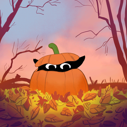 pt pumpkin cat illustration